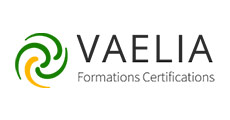 Logo Vaelia, partenaire ENI Elearning.