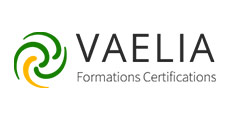 Vaelia logo