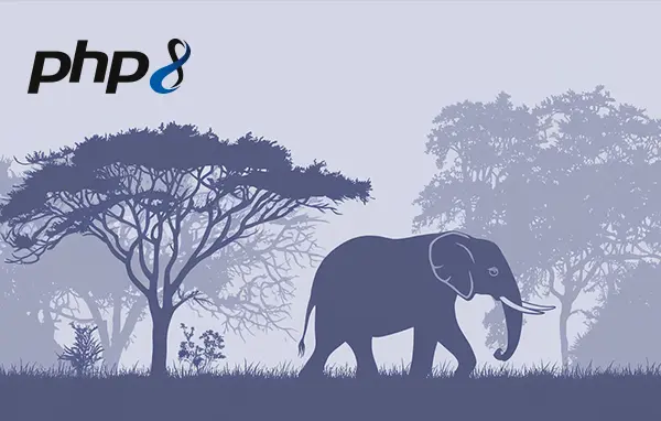 Vidéo PHP - Développez des sites web modernes et sécurisés Vidéo PHP - Développez des sites web modernes et sécurisés