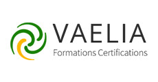 vaelia-logo-1 Logo Helpline