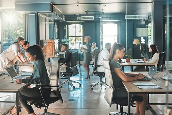 Collaborateurs entreprise